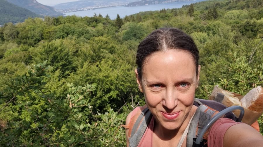 שאמוני והאלפים הצרפתיים